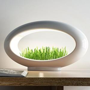 买座花园搬回家！Valsfer设计师得奖品牌5折 Valsfer Grasslamp装饰台灯