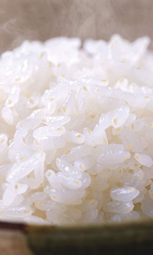 【精米】近畿大学共同研究 纯正北海道！北海道胚芽大米 5kg