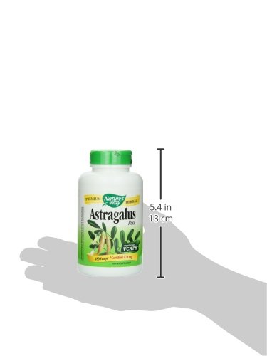 Nature’s Way黄芪胶囊470mg（180粒）