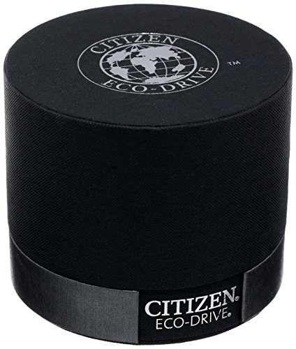 Citizen 西铁城 AO9003-08E 光动能男表