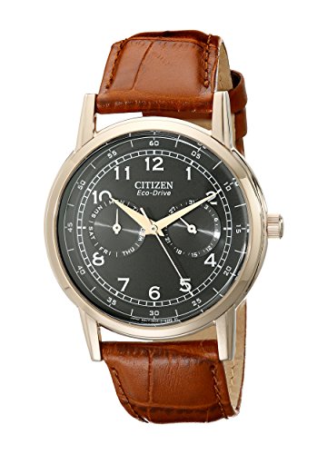 Citizen 西铁城 AO9003-08E 光动能男表