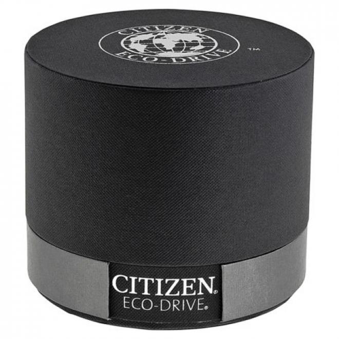 Citizen Eco Drive Stainless Steel Mens Watch AT9010-52E