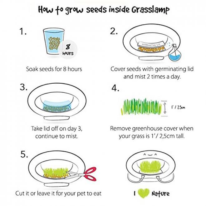 买座花园搬回家！Valsfer设计师得奖品牌5折 Valsfer Grasslamp装饰台灯
