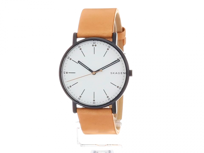 SKAGEN SIGNATUR SKW6352 男款时装腕表