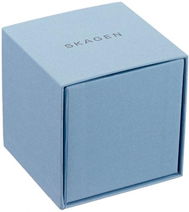 SKAGEN SIGNATUR SKW6352 男款时装腕表