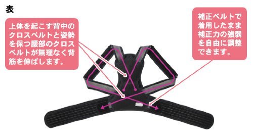 magico 中山式 脊椎矫姿带