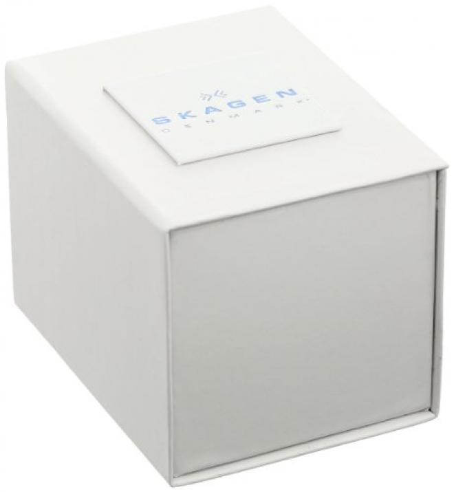 Skagen 诗格恩 358SRSC 女士时装腕表