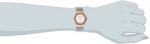Skagen 诗格恩 358SRSC 女士时装腕表